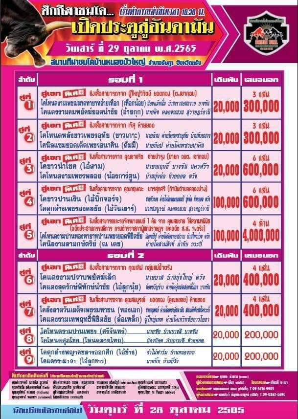 You are currently viewing สนามกีฬาชนโคบ้านหนองบัวใหญ่ 29 ตุลาคม 2565