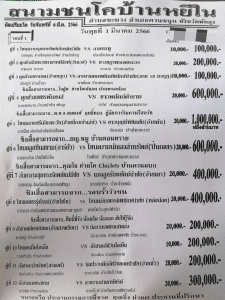 Read more about the article สนามกีฬาชนโคบ้านหยีใน 1 มีนาคม 2566