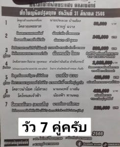 Read more about the article สนามกีฬาชนโคพระแสง 31 มีนาคม 2566