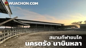 Read more about the article สนามกีฬาชนโคนครตรัง นาบินหลา