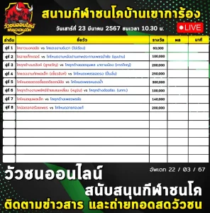 Read more about the article รายการวัวชน สนามกีฬาชนโคบ้านเขาการ้อง 23 มีนาคม 2567