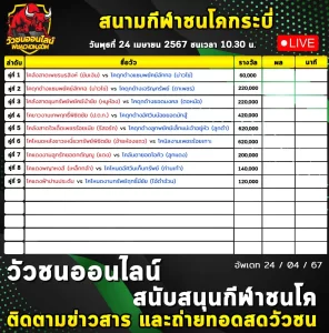 Read more about the article รายการวัวชน สนามกีฬาชนโคบ้านไร่ใหญ่ กระบี่ 24 เมษายน 2567