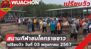 Read more about the article นัดเปรียบวัว สนามกีฬาชนโคบ้านทรายขาว 03 พฤษภาคม 2567