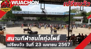 Read more about the article นัดเปรียบวัว สนามกีฬาชนโคทุ่งโพธิ์ 23 เมษายน 2567