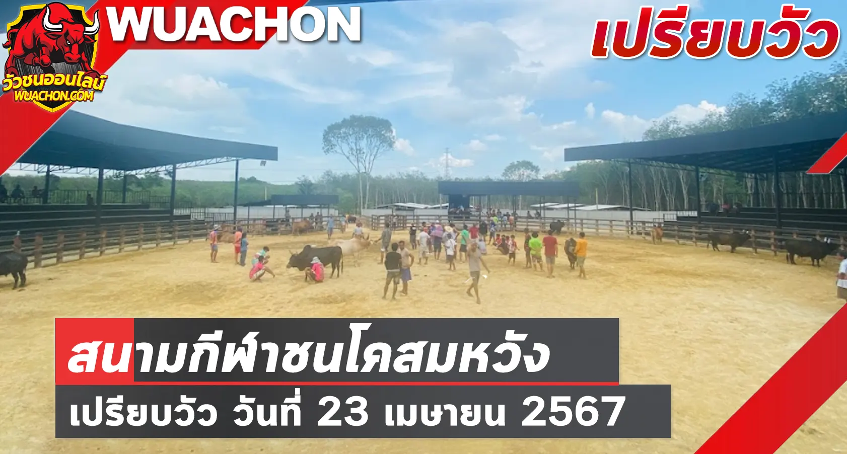 You are currently viewing นัดเปรียบวัว สนามกีฬาชนโคสมหวัง 23 เมษายน 2567