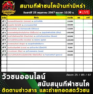 Read more about the article รายการวัวชน สนามกีฬาชนโคท่ามิหรำ 25 พฤษภาคม 2567