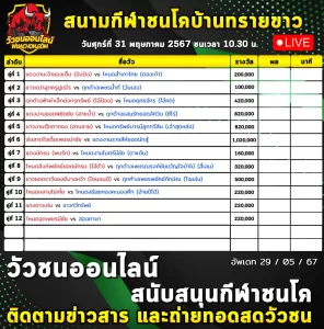 Read more about the article รายการวัวชน สนามชนโคบ้านทรายขาว 31 พฤษภาคม 2567