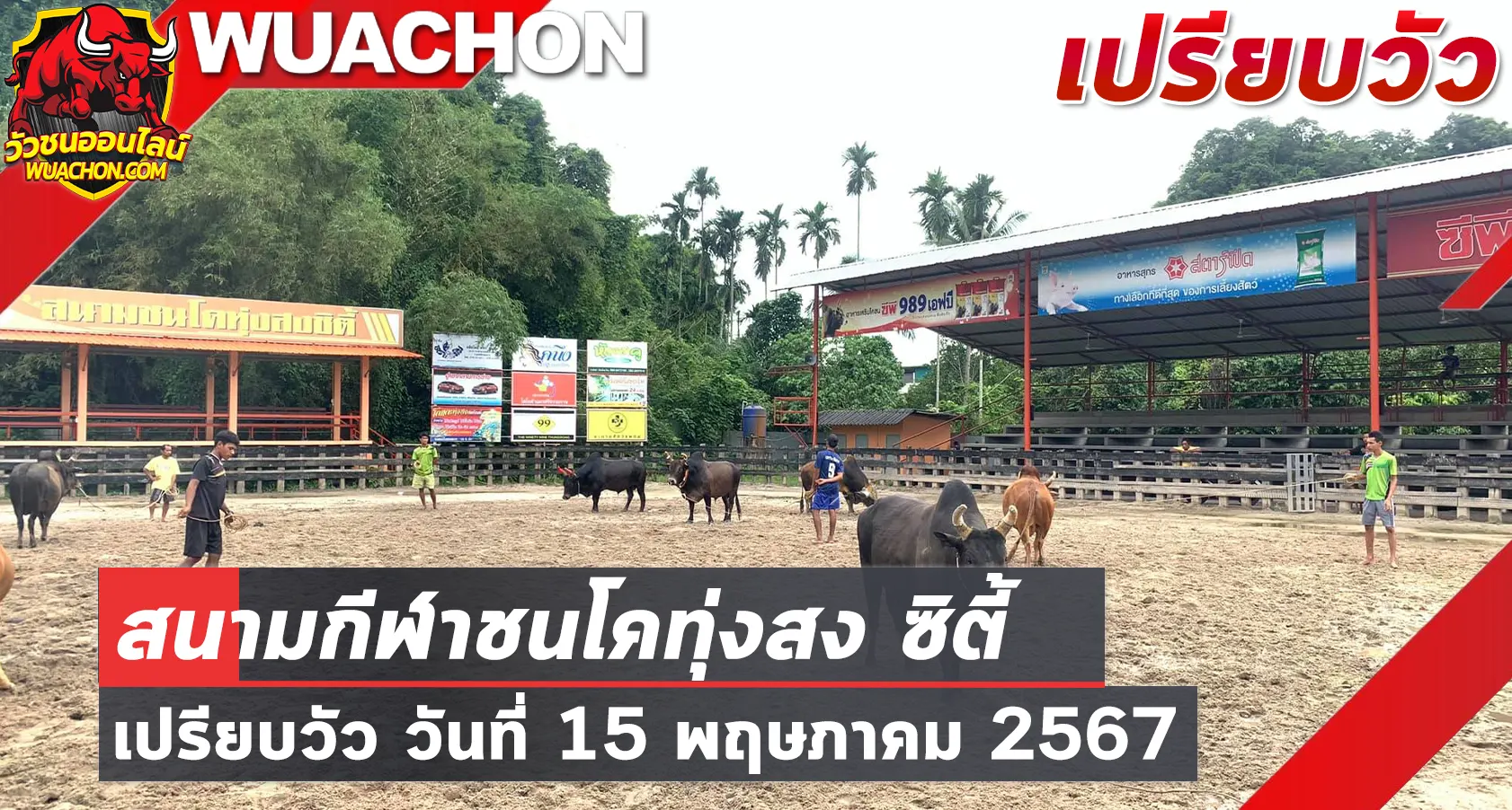 You are currently viewing นัดเปรียบวัว สนามกีฬาชนโคทุ่งสง 15 พฤษภาคม 2567