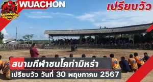 Read more about the article นัดเปรียบวัว สนามกีฬาชนโคท่ามิหรำ 30 พฤษภาคม 2567