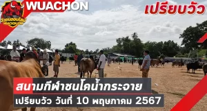 Read more about the article นัดเปรียบวัว สนามกีฬาชนโคบ้านน้ำกระจาย 10 พฤษภาคม 2567