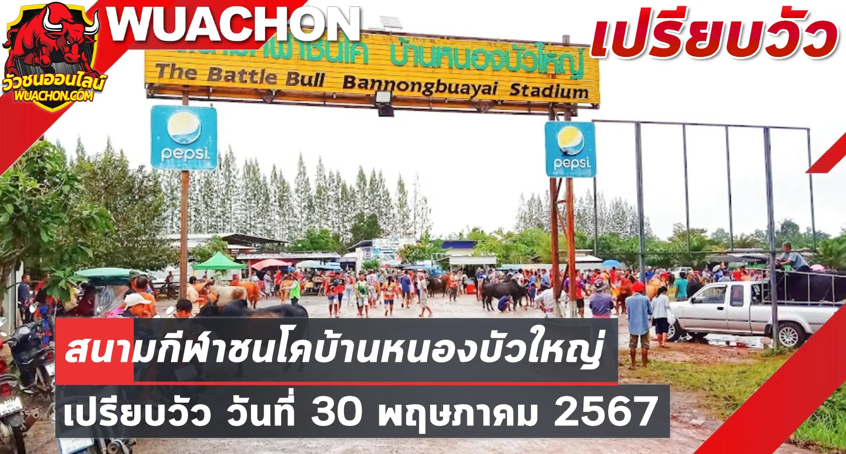 You are currently viewing นัดเปรียบวัว สนามกีฬาชนโคหนองบัวใหญ่ 30 พฤษภาคม 2567