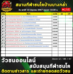 Read more about the article รายการวัวชน สนามกีฬาชนโคบ้านบางกล่ำ 15 มิถุนายน 2567