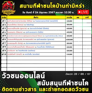 Read more about the article รายการวัวชน สนามกีฬาชนโคบ้านท่ามิหรำ 24 มิถุนายน 2567