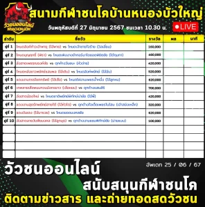 Read more about the article รายการวัวชน สนามกีฬาชนโคหนองบัวใหญ่ 27 มิถุนายน 2567