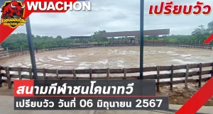 Read more about the article นัดเปรียบวัว สนามกีฬาชนโคนาทวี 06 มิถุนายน 2567