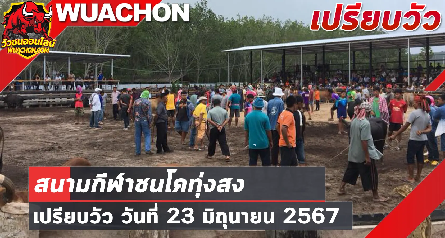 You are currently viewing นัดเปรียบวัว สนามกีฬาชนโคทุ่งสง 23 มิถุนายน 2567