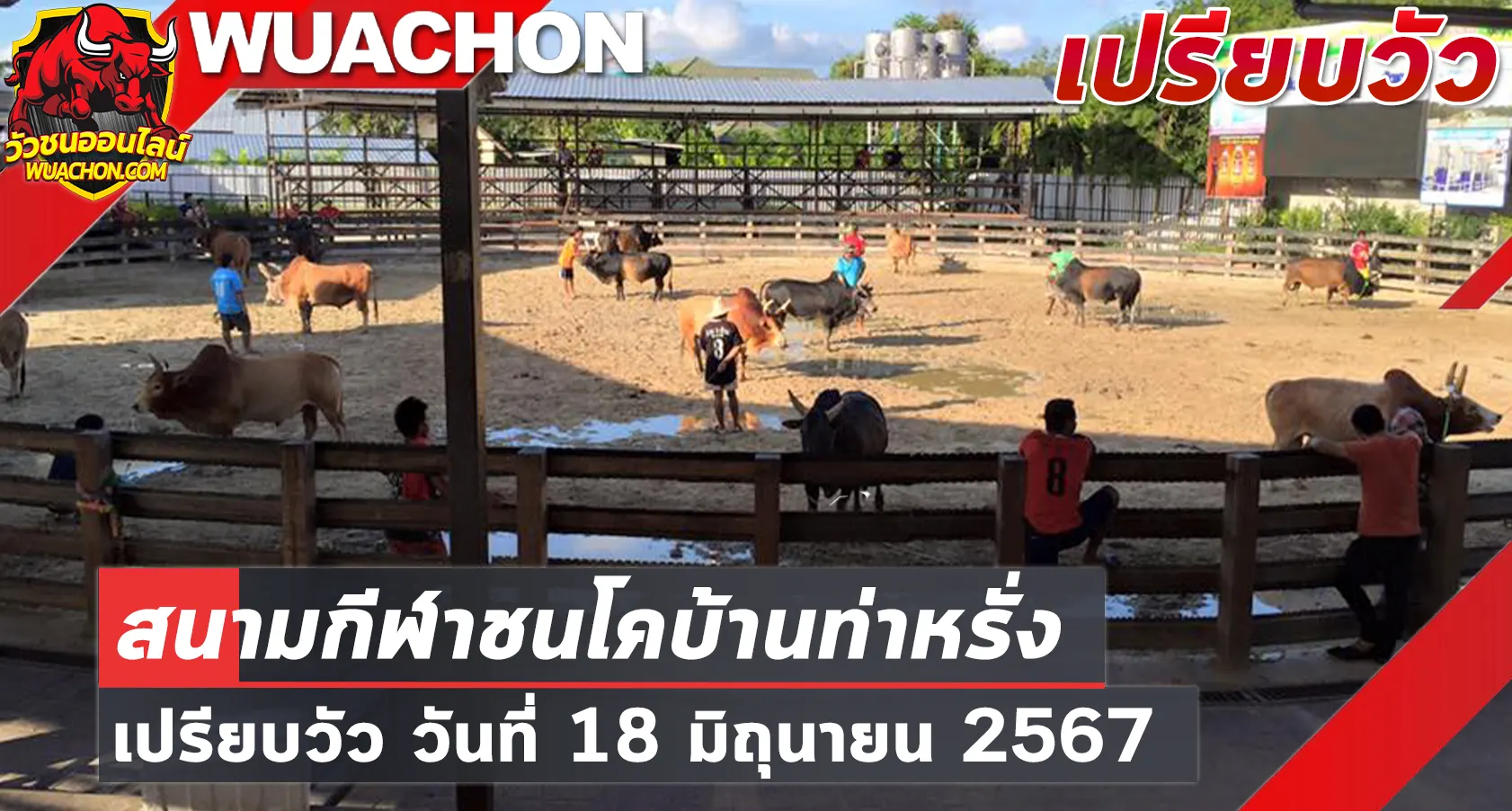 You are currently viewing นัดเปรียบวัว สนามกีฬาชนโคบ้านท่าหรั่ง (หอยโข่ง) 18 มิถุนายน 2567