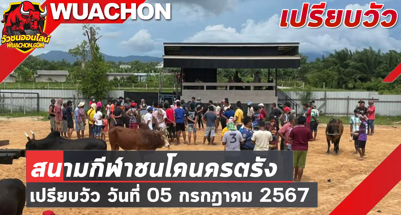 You are currently viewing นัดเปรียบวัว สนามกีฬาชนโคนครตรัง 05 กรกฎาคม 2567