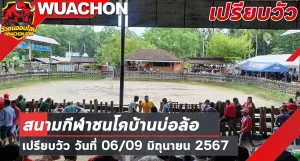 Read more about the article นัดเปรียบวัว สนามกีฬาชนโคบ้านบ่อล้อ 06 และ 09 มิถุนายน 2567