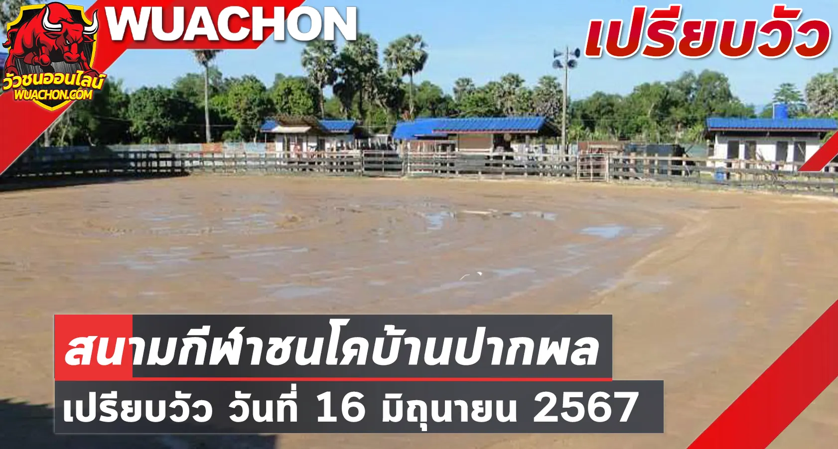 You are currently viewing นัดเปรียบวัว สนามกีฬาชนโคบ้านปากพล 16 มิถุนายน 2567