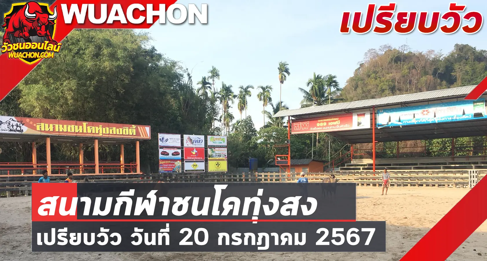 You are currently viewing นัดเปรียบวัว สนามกีฬาชนโคทุ่งสง 20 กรกฎาคม 2567