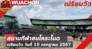 Read more about the article นัดเปรียบวัว สนามกีฬาชนโคระโนด 15 กรกฎาคม 2567