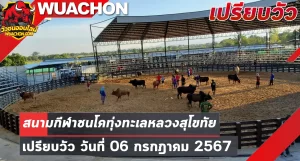 Read more about the article นัดเปรียบวัว สนามกีฬาชนโคทุ่งทะเลหลวง สุโขทัย 06 กรกฎาคม 2567