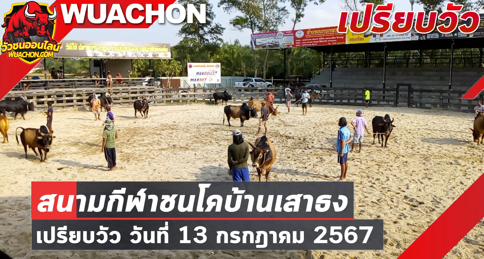 You are currently viewing นัดเปรียบวัวใหญ่ สนามกีฬาชนโคบ้านเสาธง 13 กรกฎาคม 2567