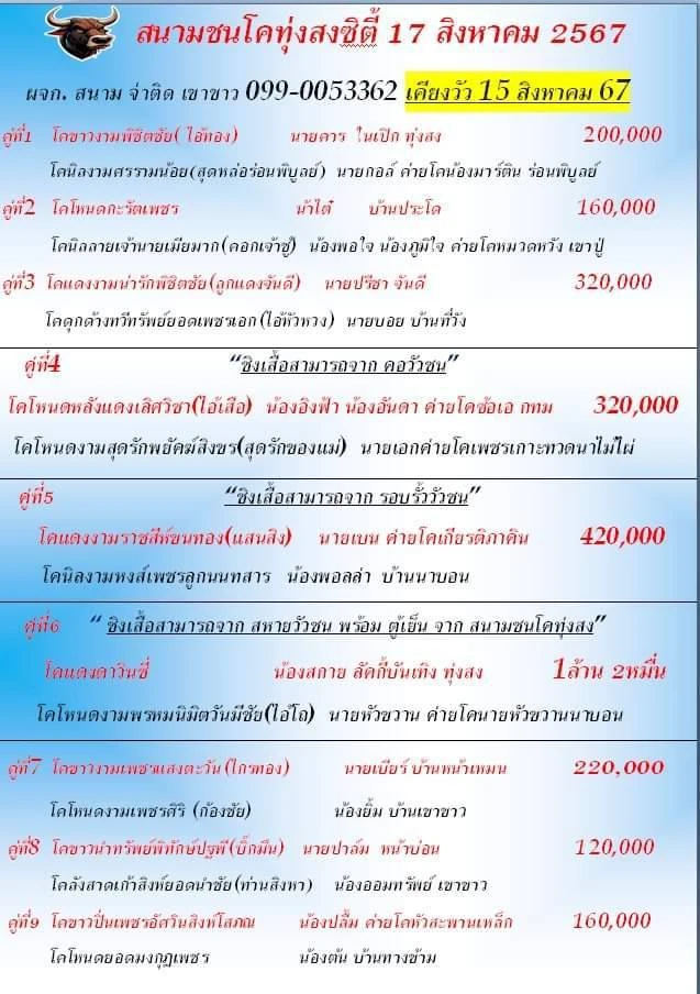 You are currently viewing รายการวัวชน สนามกีฬาชนโคทุ่งสง 17 สิงหาคม 2567