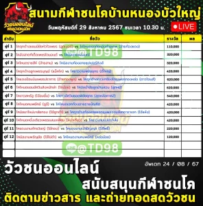 Read more about the article รายการวัวชน สนามกีฬาชนโคหนองบัวใหญ่ 29 สิงหาคม 2567