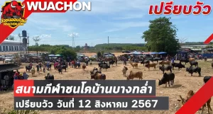 Read more about the article นัดเปรียบวัว สนามกีฬาชนโคบ้านบางกล่ำ 12 สิงหาคม 2567