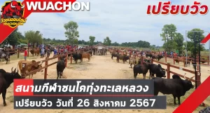 Read more about the article นัดเปรียบวัว สนามกีฬาชนโคทุ่งทะเลหลวง สุโขทัย 26 สิงหาคม 2567