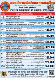 Read more about the article รายการวัวชน สนามกีฬาชนโคบ้านเสาธง 12 กันยายน 2567